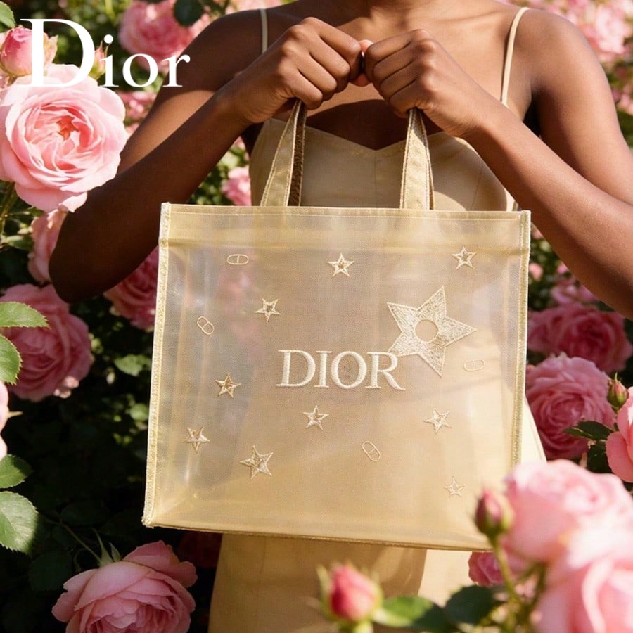 Luxury Skincare Brand - Сумка Christian Dior Dior's Bag: роскошная